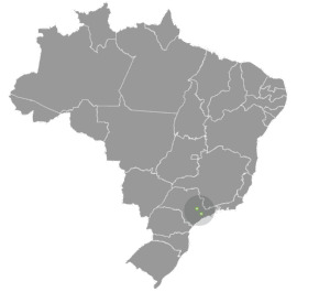 Zonas principais da Winov pelo Brasil